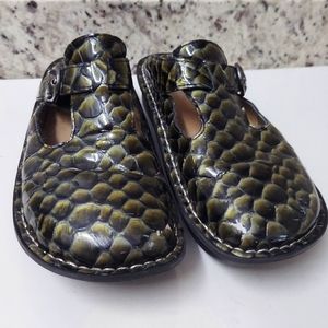 Alegria ALG-814 Snake Reptile Print Clog Shoes Size EU 37 US 7 / 7.5 Gre…